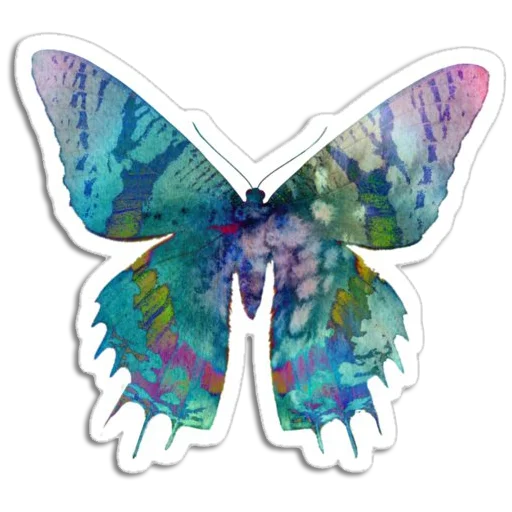 Butterfly ਤਿਤਲੀ  sticker 🦋