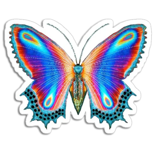Стікер Telegram «Butterfly ਤਿਤਲੀ» 🦋