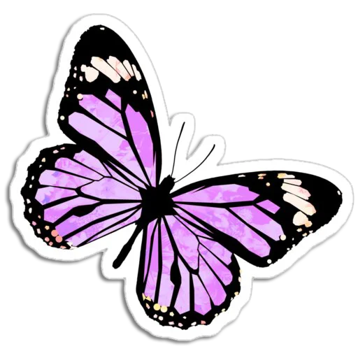 Telegram stiker «Butterfly ਤਿਤਲੀ» 🦋