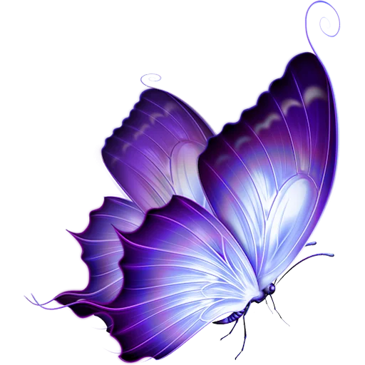 Telegram Sticker «Butterfly ਤਿਤਲੀ » 🦋