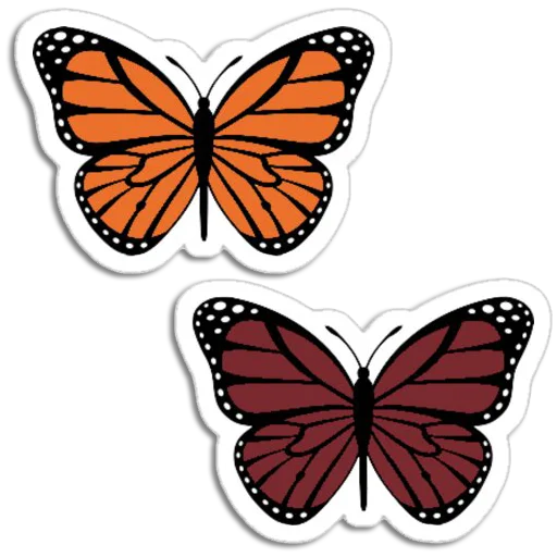 Стикер Telegram «Butterfly ਤਿਤਲੀ» 🦋