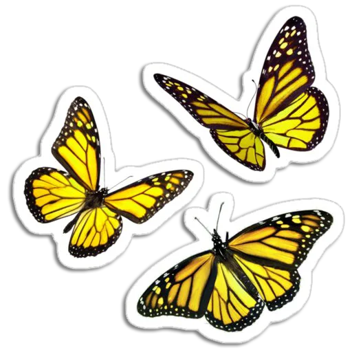 Стікер Butterfly ਤਿਤਲੀ 🦋
