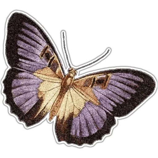Бабочки и Радость  emoji ☹️