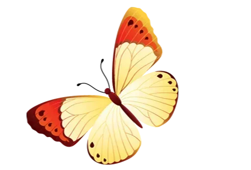 Telegram stiker «Бабочки и Радость» 😛