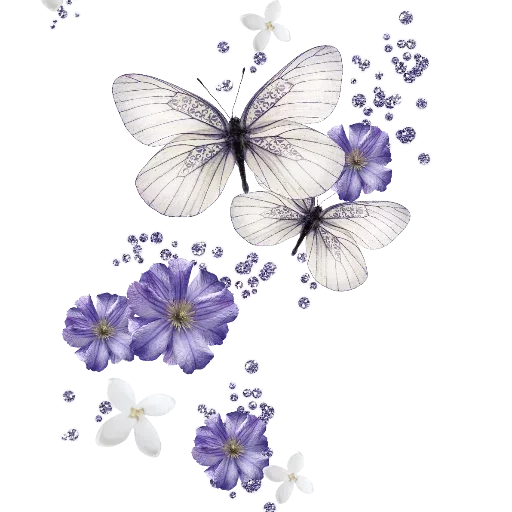 Telegram Sticker «Бабочки и Радость» 😒