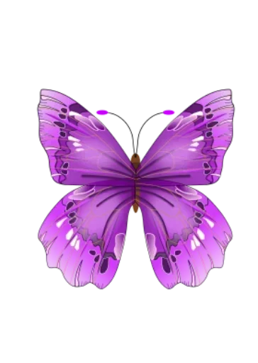 Telegram stiker «Бабочки и Радость» 😒