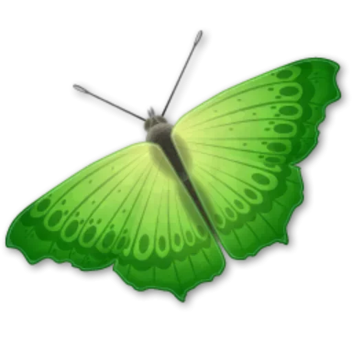 Telegram Sticker «Бабочки и Радость» 😣
