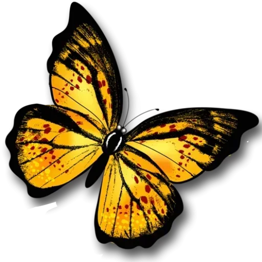 Стикер Telegram «Бабочки и Радость» 😘