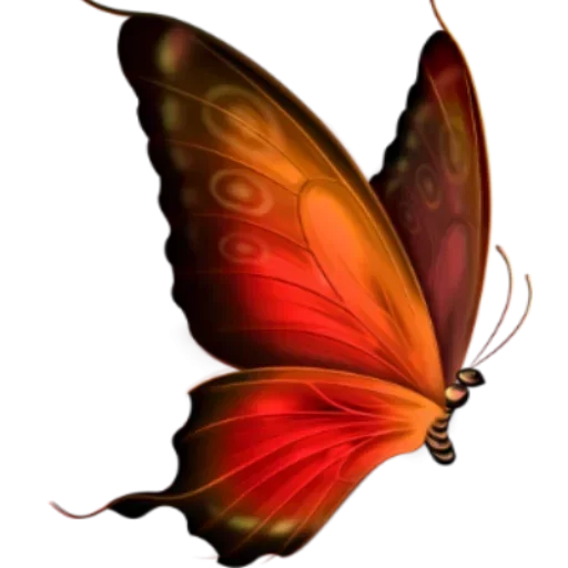 Telegram stiker «Бабочки и Радость» 😛