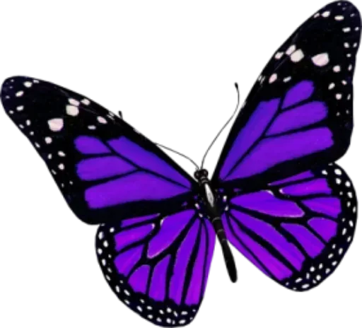 Бабочки и Радость  sticker ☹️