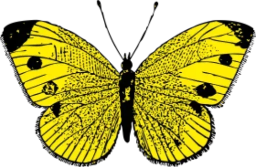 Стикер Telegram «Бабочки и Радость» 😏