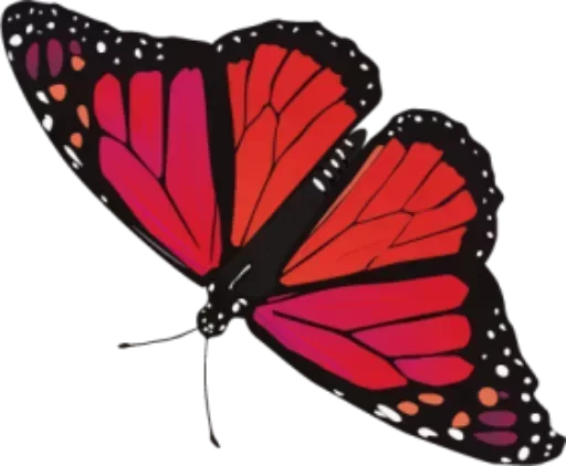 Telegram Sticker «Бабочки и Радость» 🙁
