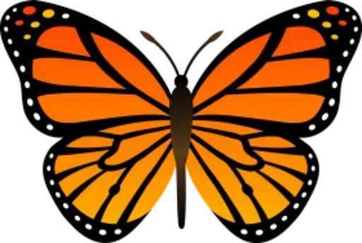 Telegram Sticker «Бабочки и Радость» 😒