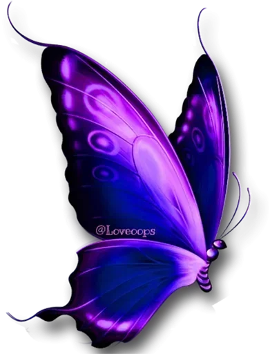Стикер Telegram «Бабочки и Радость» 