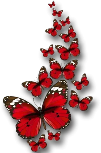 Бабочки и Радость  sticker ☹️