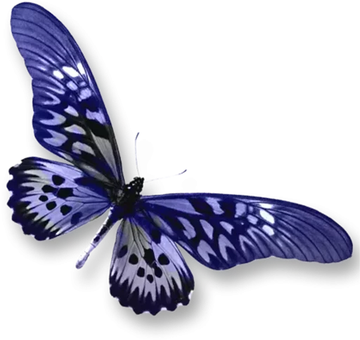 Telegram Sticker «Бабочки и Радость» ☹️