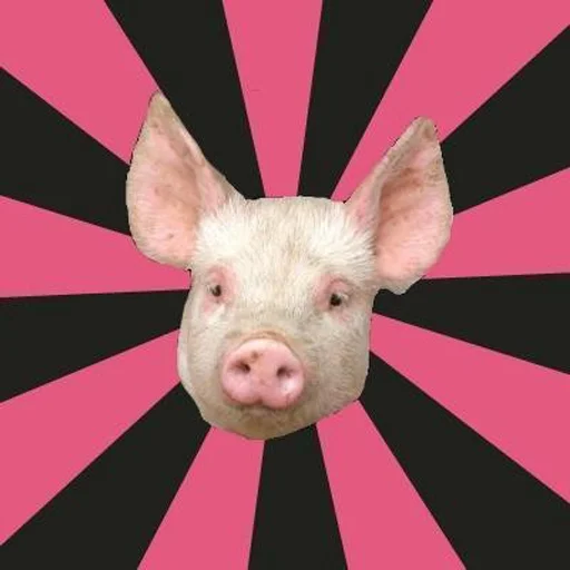 Емодзі большая свинячья ферма 😀