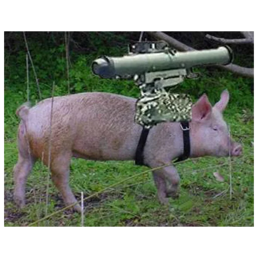 Telegram Sticker «большая свинячья ферма» 😡