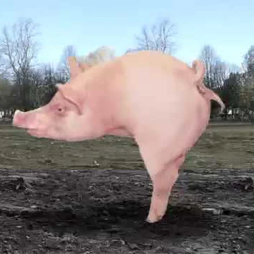 Стикер большая свинячья ферма 😠