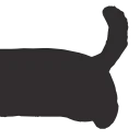 black kitty emoji 🐈‍⬛