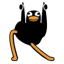 Black Duck stiker 👍