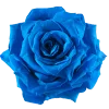 Синий | Blue emoji 🌸