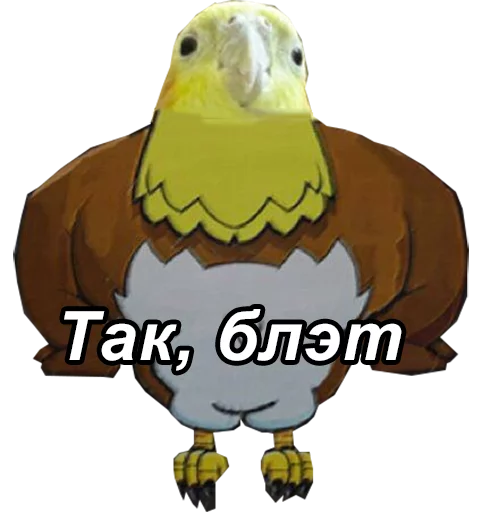 Стикер Telegram «блядские папуги» 