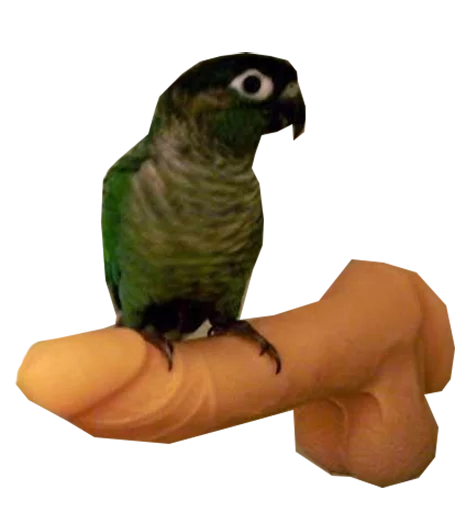 Telegram stiker «блядские папуги» 👇