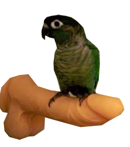 Telegram stiker «блядские папуги» 👈