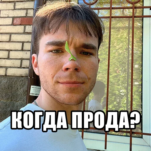 Mikhail Boldurev sticker ☺️