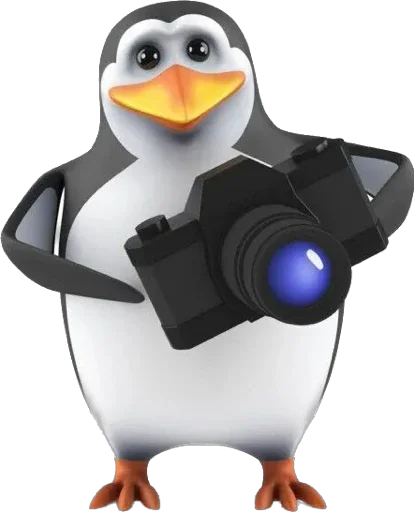 Пингвин stiker 📷