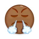 Емодзі Brown Emoji 😤