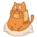 Bubo the Scarfcat emoji 😨