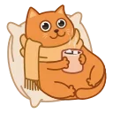 Bubo the Scarfcat emoji ☕️