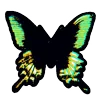 Эмодзи butterflys 🦋