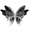 Telegram emoji Butterfly 🦋