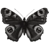 Эмодзи Butterfly 🦋 🦋