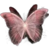 Емодзі Butterfly 🦋 🦋