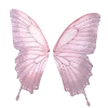 Telegram emoji «Butterfly 🦋 » 🦋