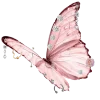 Эмодзи Telegram «Butterfly 🦋» 🦋
