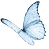 Butterfly 🦋 emoji 🦋