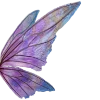Butterfly 🦋 emoji 🦋