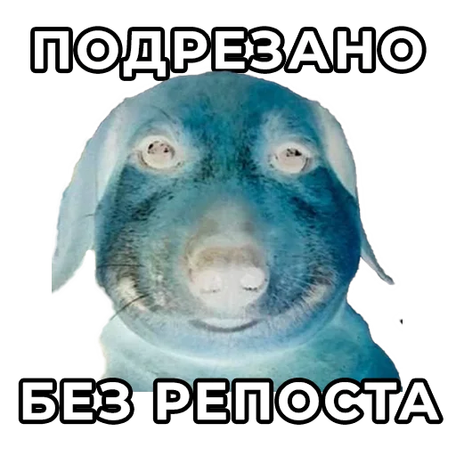 было? похуй emoji 😈