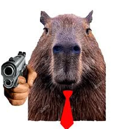Стикер Telegram «Capybara Are My Life» 🔫