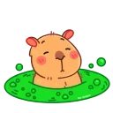 Yippy the capybara emoji 🤢
