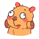 Yippy the capybara emoji 🤷‍♂️