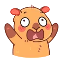 Yippy the capybara emoji 😳
