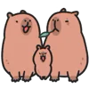 Capybara emoji ❤️