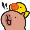 Capybara emoji ‼️