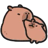 Capybara emoji ❤️